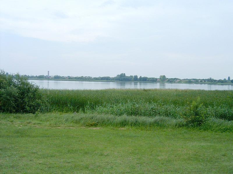 szate (191).jpg